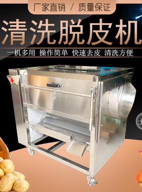 ZYTP-80土豆清洗脱皮机 萝卜芋头毛刷清洗机 生姜清洗去皮机
