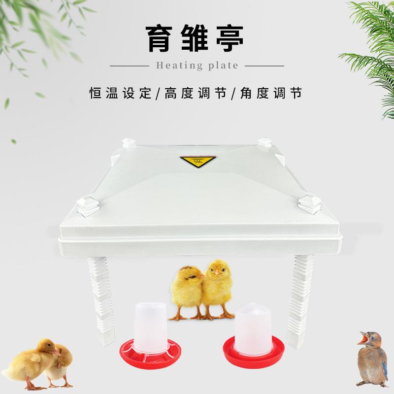 跨境出口小鸡育雏器发热器育雏取暖器可调节保温板带鸡毛育雏亭