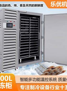 隧道柜式海鲜牛肚肉丸鱼丸调理品大型超低温零下80度极速速冻机