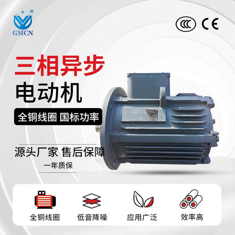 三相异步潜水电机大功率防水电动机耐温水下运行IP68防水马达