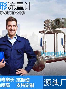 工厂楔形流量计气体液体脏污颗粒装置工业煤气节流差压式孔板