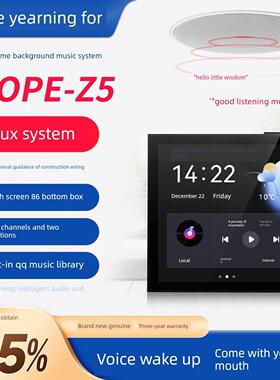 Z5家庭智能背景音乐主机系统集控制器天花板扬声器音频集