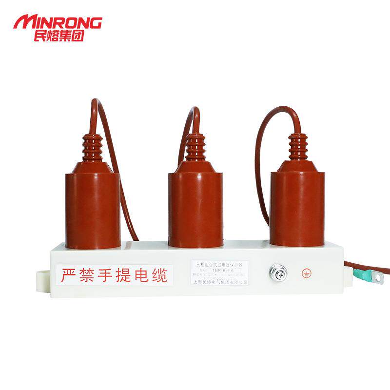 TBP-7.6/ABC/131/85组合式过电压保护器计数器35KV/200a400/600A