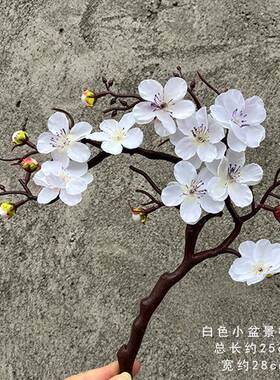 仿室真梅花桃花枝摆件客厅干花栽盆景梅摆设花盆客厅内装腊饰ISL