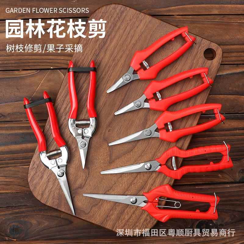 园艺剪修枝剪花枝园林园艺家用多功能不锈钢强力剪剪刀果树葡萄水