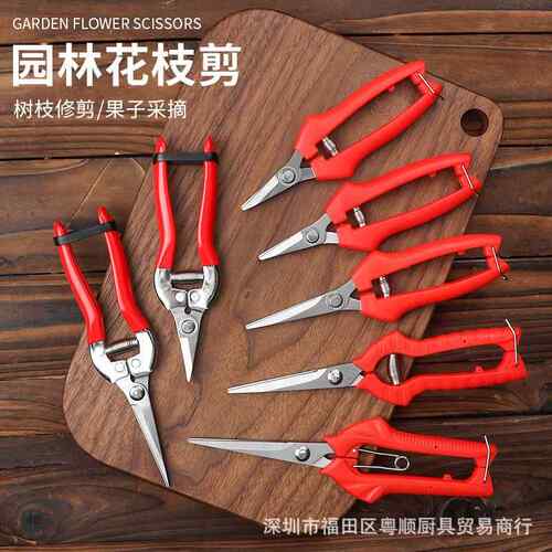 园艺剪修枝剪花枝园林园艺家用多功能不锈钢强力剪剪刀果树葡萄水