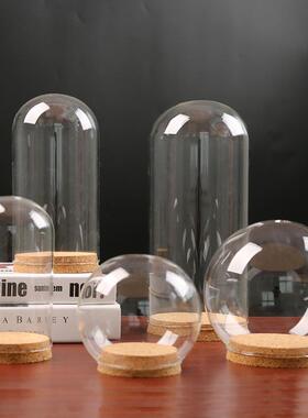 永生花防尘玻璃罩 粘土软陶羊毛毡人偶手办 木塞玻璃瓶