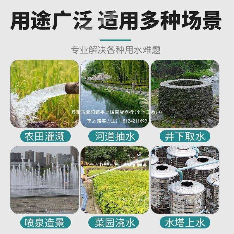 潜水泵220V380V家用抽水机高扬程农用灌溉清水抽水泵铸铁