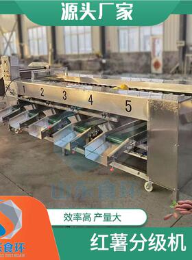 自动称重重量分机 土豆分选机分级机 橄红榄选橙6500型滚杠式分级