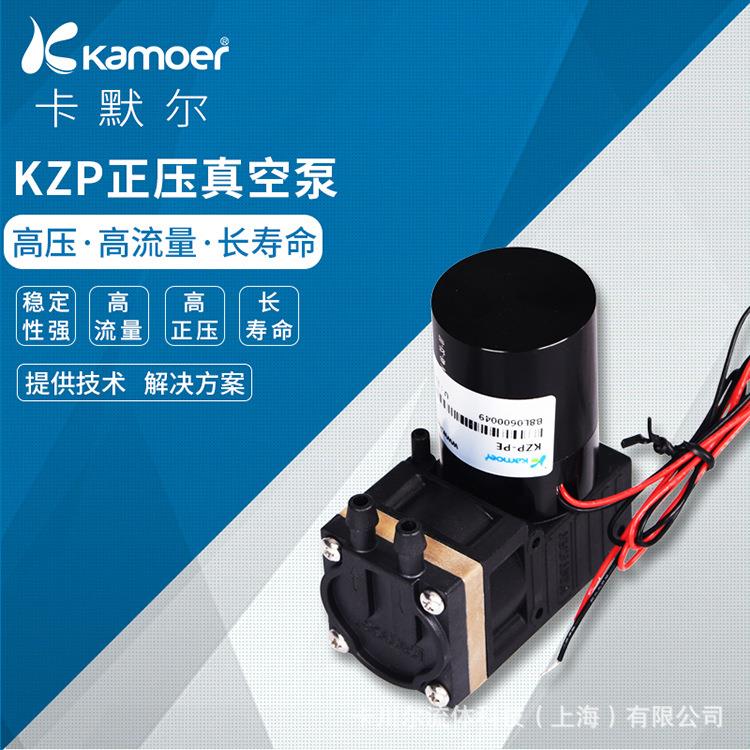 微型正压泵无刷真空泵卡默尔12v自吸泵24v电动抽气泵小型隔膜泵