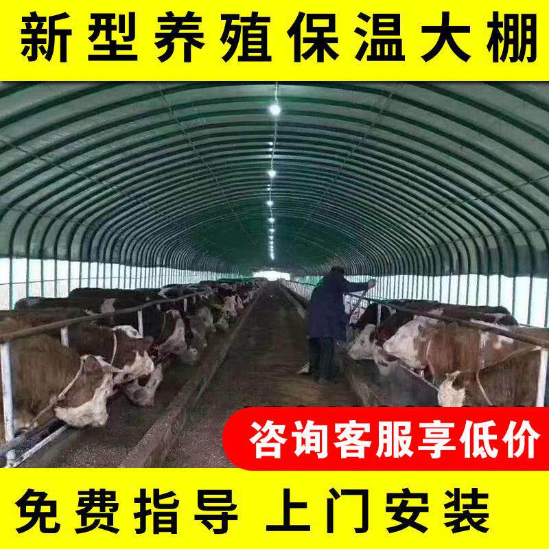养殖大棚钢管骨架全套椭圆管温室养鸡鸭鹅兔猪舍羊圈牛棚搭建猪棚