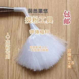 梨树授粉工具 加长授粉杆 人工授粉刷 果树授粉梨花授粉快速授粉