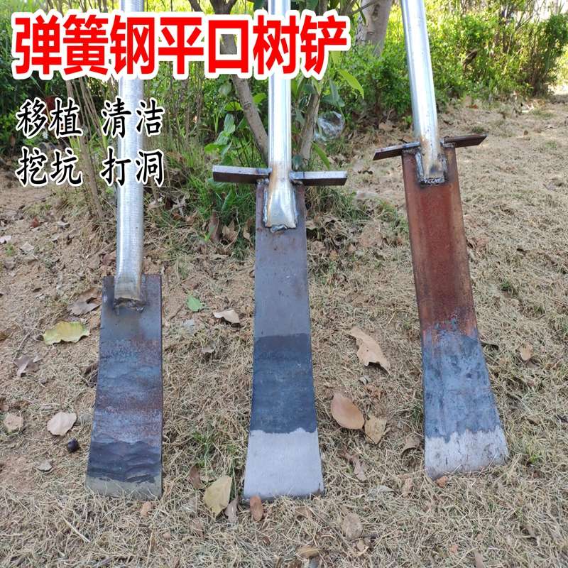 弹簧钢挖树铲平口铁锹打洞挖坑移植农用园林工具花铲锰钢锹挖树锹