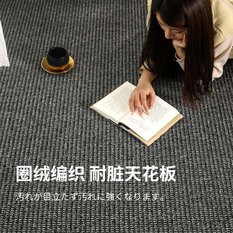 地毯高级感黑色客厅卧室床边飘窗垫仿剑麻圈绒丙纶防滑加厚深灰色