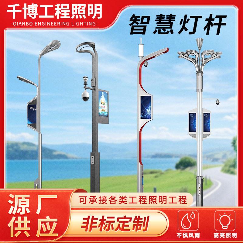 智慧路灯监控充电广播综合多功能灯杆新农村建设智慧路灯