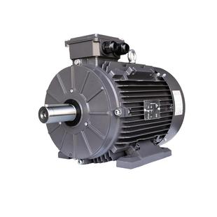 ECHTOPMOTORYE4 CSA认证 IGJQE4三相交流异美步T铝壳二级能效北UL