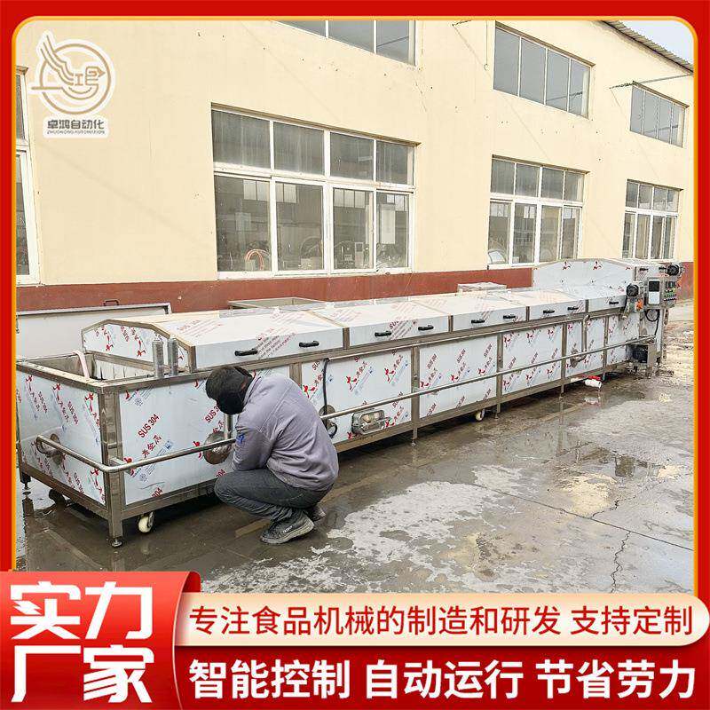 连续式山野菜加工设备大型橘子蒸汽漂烫设备商用树莓预煮漂烫机
