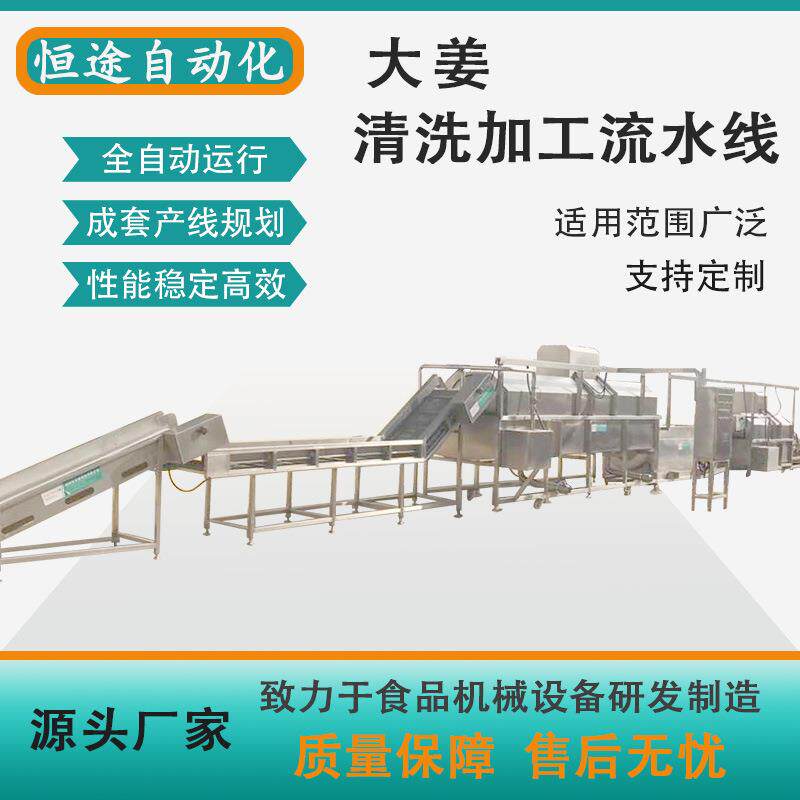 大姜清洗去皮加工成套产线设备滚筒毛刷式连续清洗机生姜刷洗设备