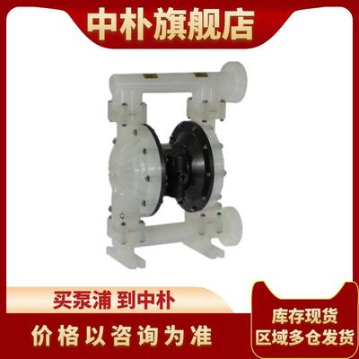 BSK气动隔膜泵P06PP-PTT4-B 1/4寸微小型往复水泵酸碱流体输送泵