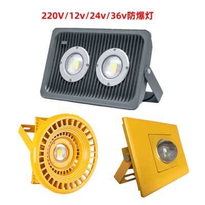 led隧道防爆灯100W50W30W防水防渣防震低压投光灯12V24V36V台车灯