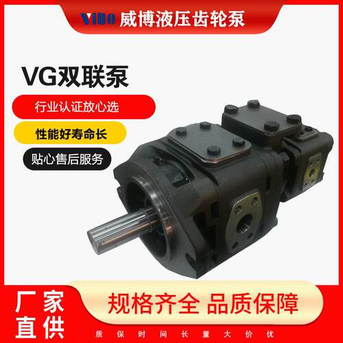 威博厂家电机油泵组合站小型液压动力元VG21双联泵VG21双联泵