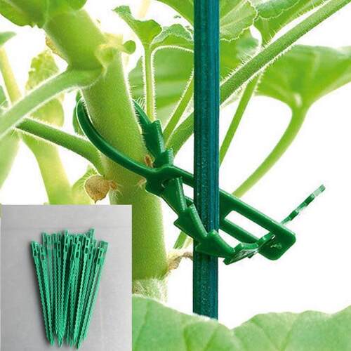 多用途花木固定CM园艺用品套装