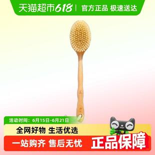 浴见猪鬃毛长柄标准毛沐浴刷洗澡刷身体干刷搓背猪鬃毛刷子搓澡