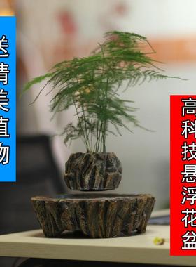 磁悬浮花盆盆栽自转办公室家居装饰摆件创意礼物送领导老师礼物