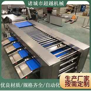 供应柑橘苹果水果自动分选机果蔬大小分拣机分选机果蔬分选机