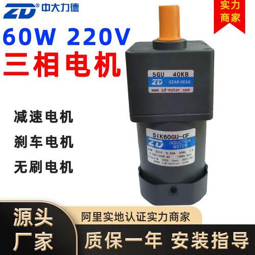 ZD力德交流减速电机15轴调速电机无刷直流电动机小型电动机