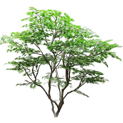 枫叶树假黄枫青枫红枫绿植假树装饰室内外枯山水日式造景仿真枫树