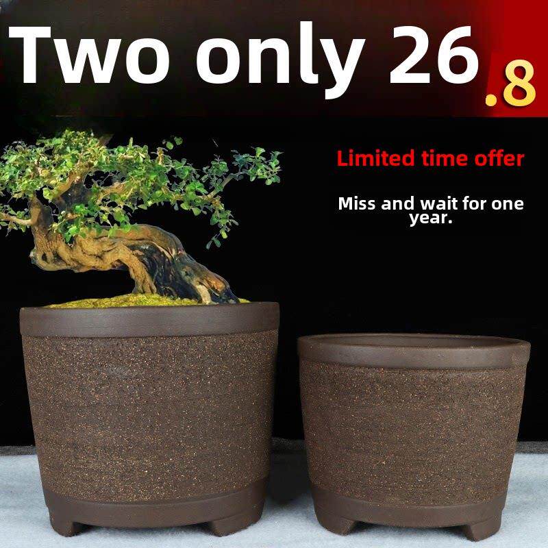 宜兴直桶紫砂花盆特价清仓绿植多肉君子兰花盆大号家庭造景陶瓷盆