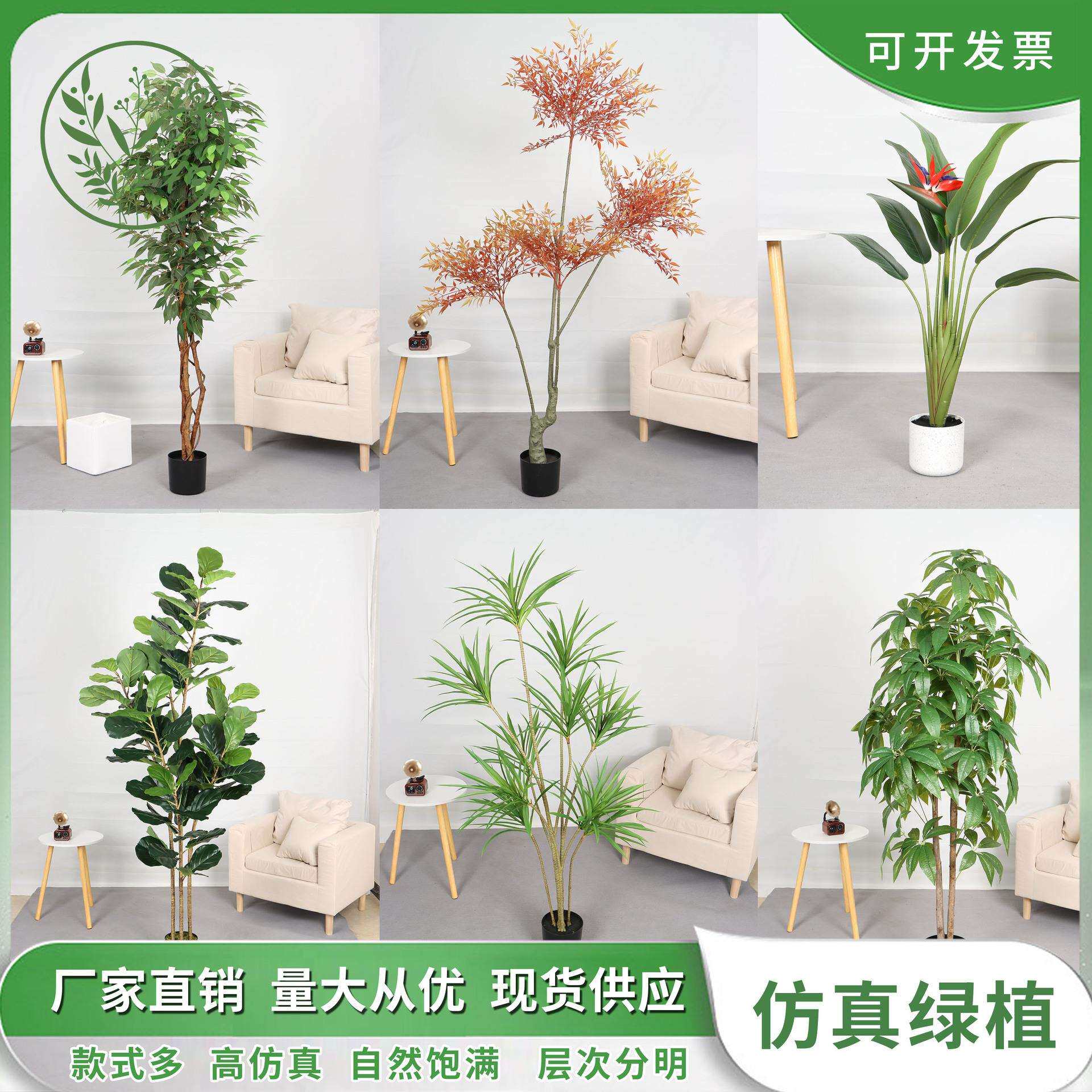 仿真发财树塑胶叶真树杆植物落地盆栽树客厅室内花装饰假绿植盆景