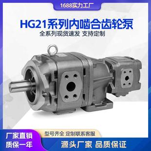 内啮合齿轮泵 VPC 高压油泵注塑机伺服泵 01R 海特克HG21