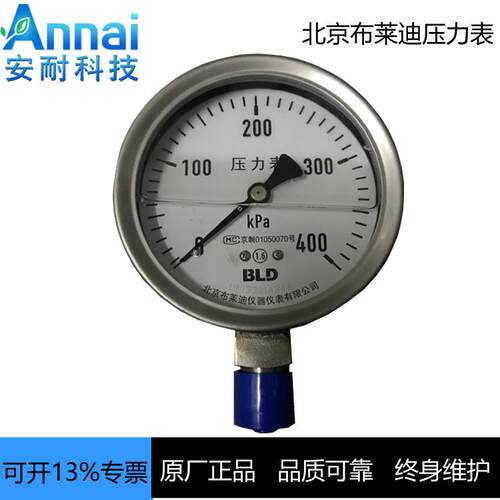 北京布莱迪全不锈钢耐震压力表 YTHN-100 0-400KPa M20*1.5