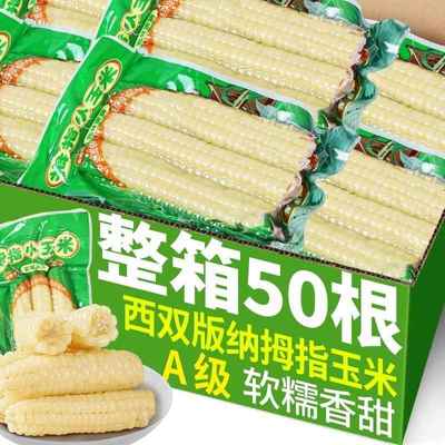 5斤云南西双版纳香糯拇指小玉米新鲜手指玉米真空装儿童黏玉米棒