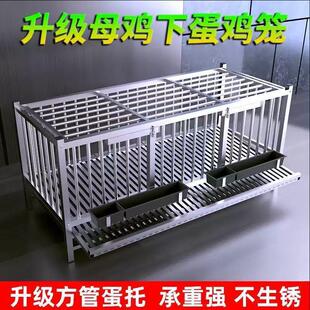 不锈钢鸡笼子家用大号室外阳台养殖下蛋笼家养鸡鸭鹅防啄自动滚蛋