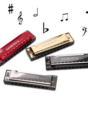 10 Hole Harmonica Mouth Organ Puzzle Musical Instrument Begi