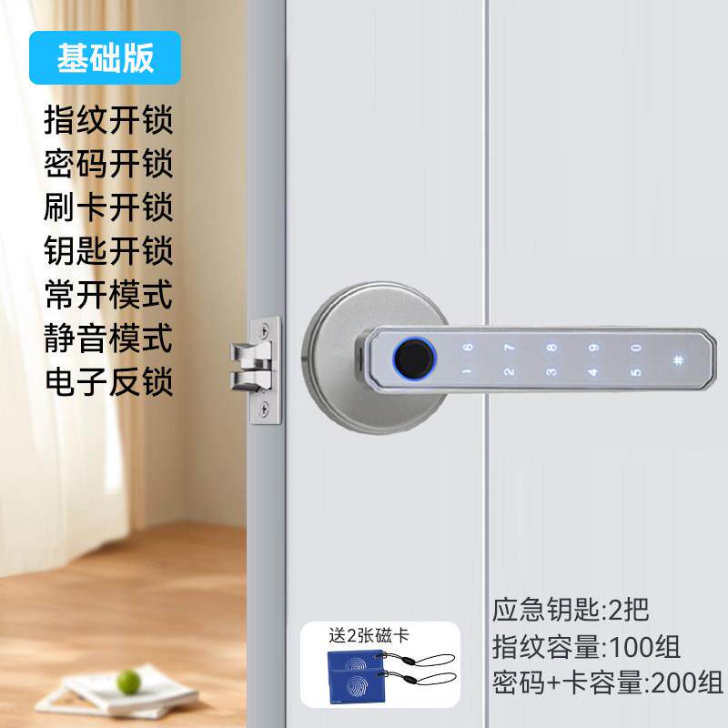 球形刷卡办公室出租屋民宿出租房门锁室内房间卧室门指纹涂鸦APP