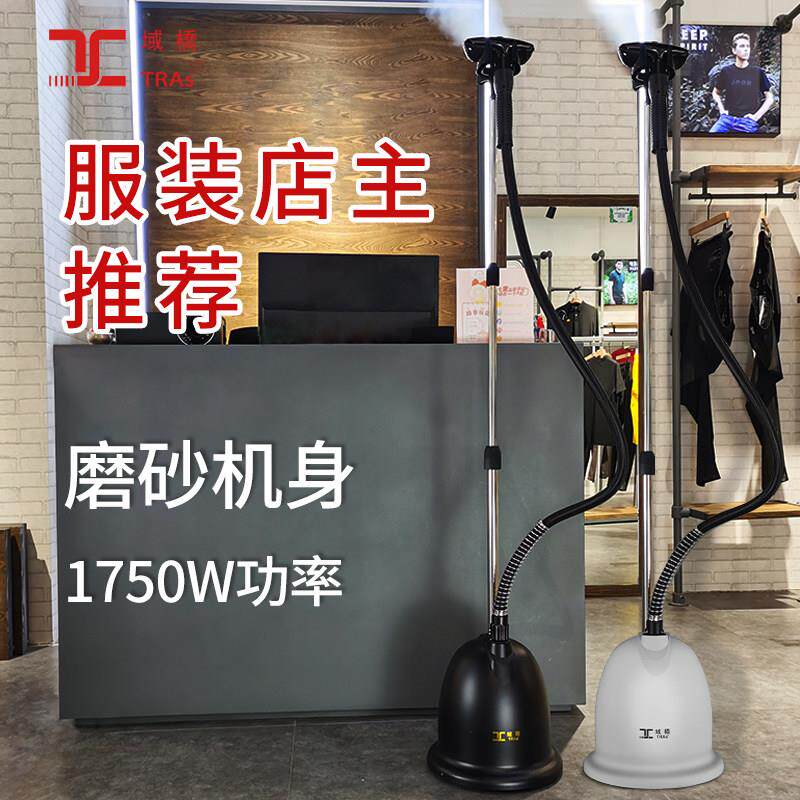 域桥蒸气挂烫机家用烫衣服蒸气熨斗立式大功率大蒸汽手持小型熨斗