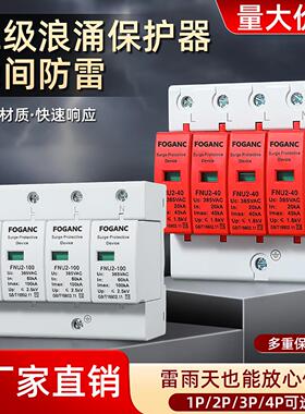 浪涌防雷保护器避雷器220V2P二级家用电涌开 关光伏4P40kA60ka380