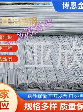 河北厂家各种型号雨棚弯弓 渔具不生锈铝包钢丝 镀锌钢丝