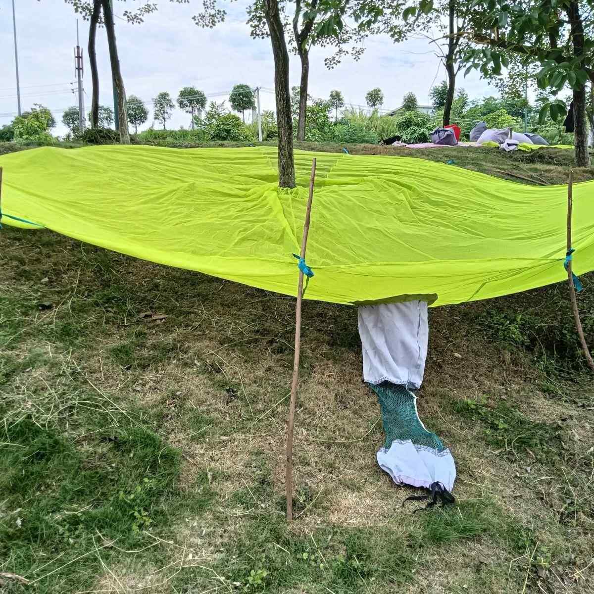 山核桃采收网新款果实采摘杨梅网八角网青梅桂花等农用工具农业