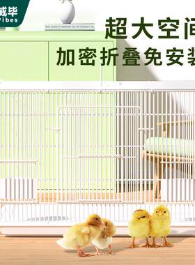 大号加密家养鸡笼子家用小鸡笼芦丁鸡鸽子笼鹌鹑室内鸭笼室外鸽笼