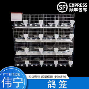 批發(fā)防銹養(yǎng)殖鍍鋅鐵絲鴿子籠 繁殖配對籠具多規(guī)格鴿子籠 鴿籠