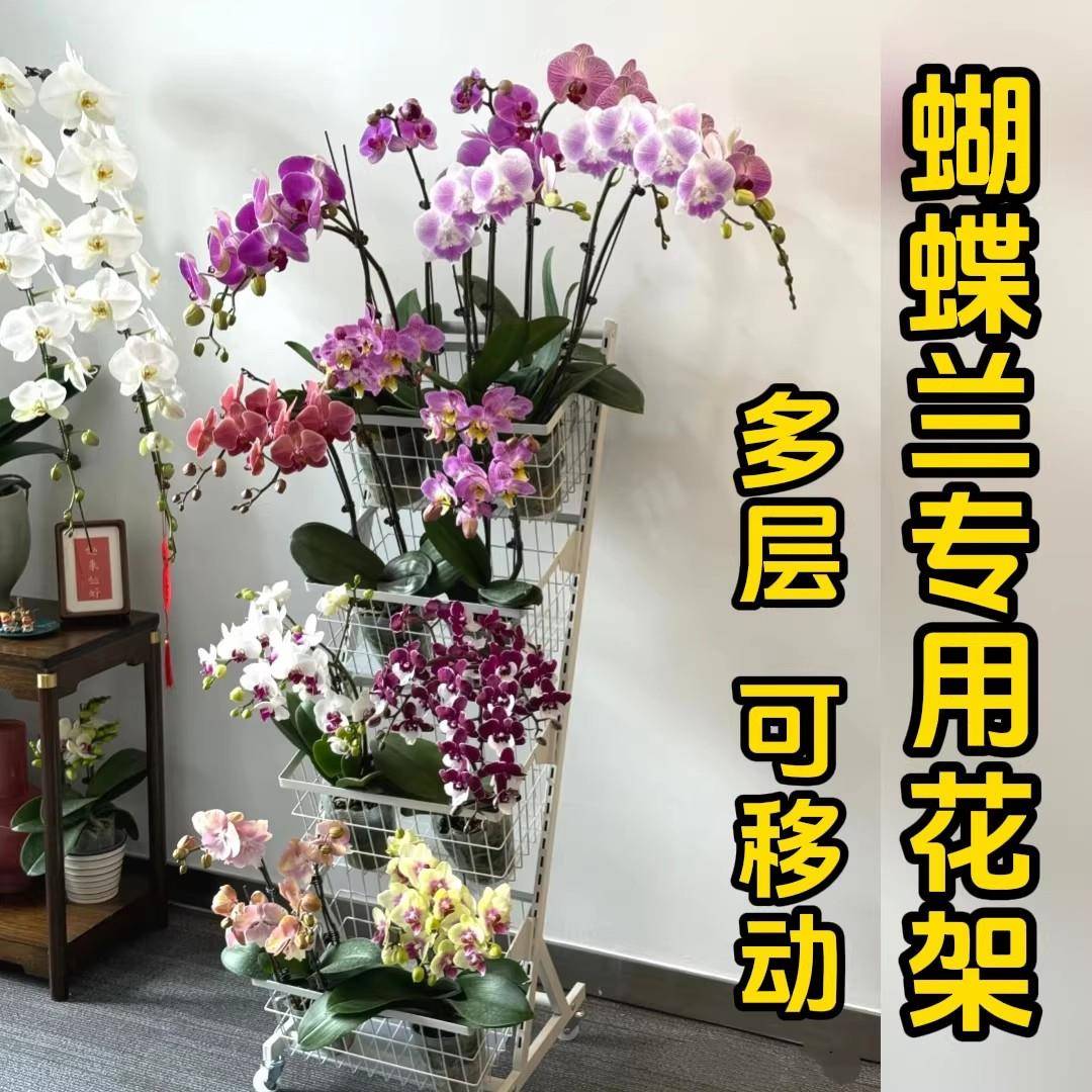 蝴蝶兰花架子客厅落地式阳台室内多层花盆摆放铁艺移动展示花车架