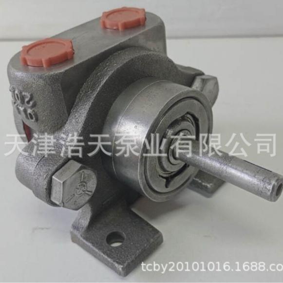 润滑齿轮泵TDTU 柴油 机油 稠油 胶水 沥青 白油 液压油齿轮泵 - 实物图