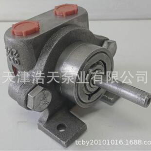 润滑齿轮泵TDTU 柴油 机油 稠油 胶水 沥青 白油 液压油齿轮泵