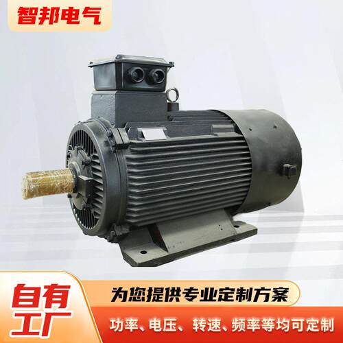1000w永磁效发电机三相交流低速直驱稀土永磁IP54防护电机