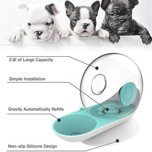 Water Cat Bubble Dispens Automatic Pet Fountain Snails